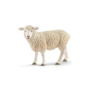 Goat & Sheep Farming